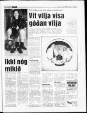 Síða 11