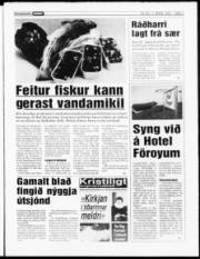 Síða 3