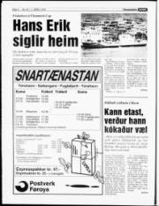 Síða 6