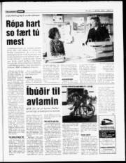 Síða 13
