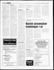 Síða 17