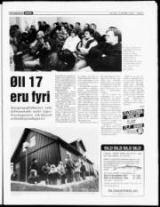 Síða 3