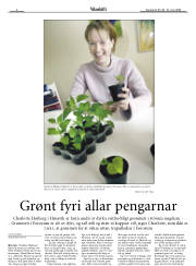 Síða 22