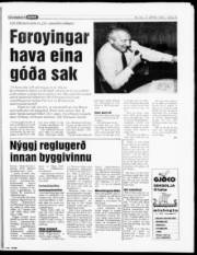Síða 15