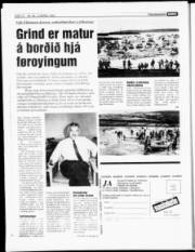 Síða 16