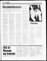 Síða 17