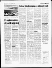 Síða 22