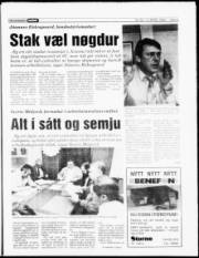 Síða 5