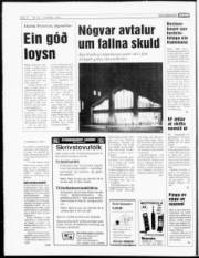Síða 6