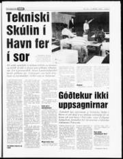 Síða 7