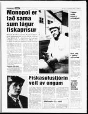 Síða 11