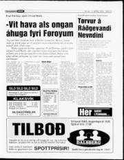 Síða 13