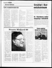 Síða 17