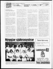 Síða 2