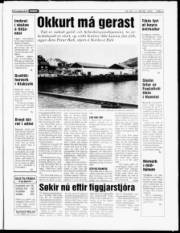 Síða 3