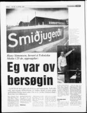 Síða 6