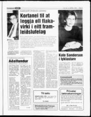 Síða 9