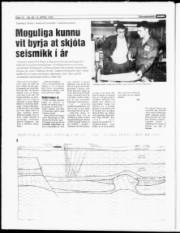 Síða 12