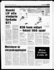 Síða 14