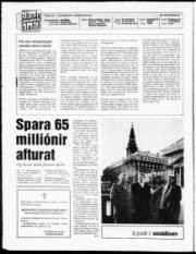 Síða 2