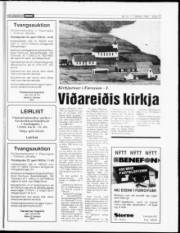 Síða 17