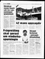 Síða 3