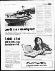 Síða 6