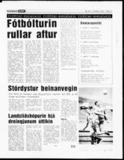 Síða 13