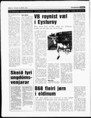 Síða 14