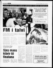 Síða 17