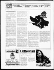 Síða 2