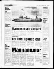 Síða 5