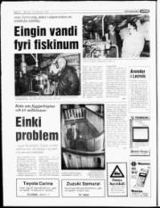 Síða 6