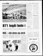 Síða 13
