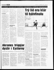 Síða 15