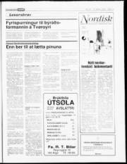 Síða 19