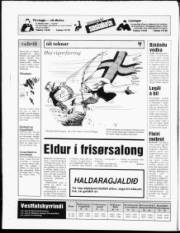 Síða 24