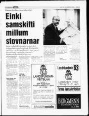 Síða 3