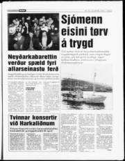 Síða 7