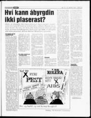 Síða 13