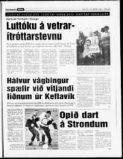 Síða 15