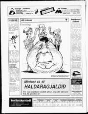 Síða 20