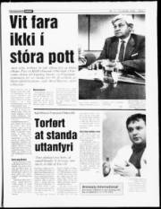 Síða 7