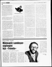Síða 17