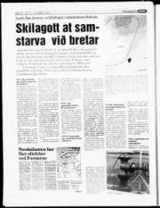 Síða 18