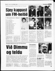 Síða 22