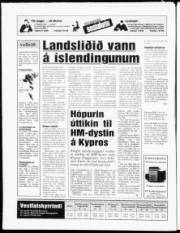 Síða 24