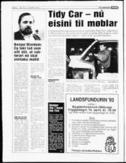 Síða 4