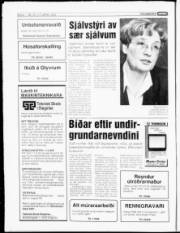 Síða 6