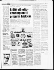 Síða 17
